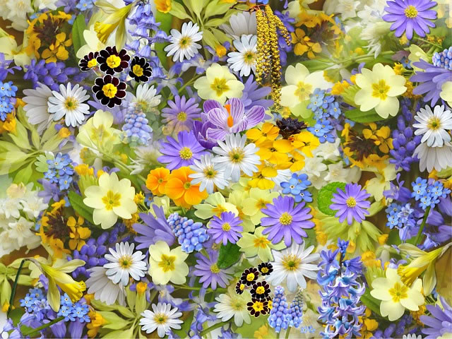 Spring is here